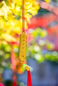 đăng nhập Sodo